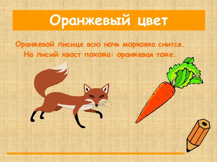 Оранжевой лисице всю ночь морковка снится. На лисий хвост похожа: оранжевая тоже. Оранжевый цвет