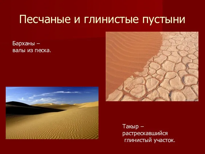 Песчаные и глинистые пустыни Барханы – валы из песка. Такыр – растрескавшийся глинистый участок.