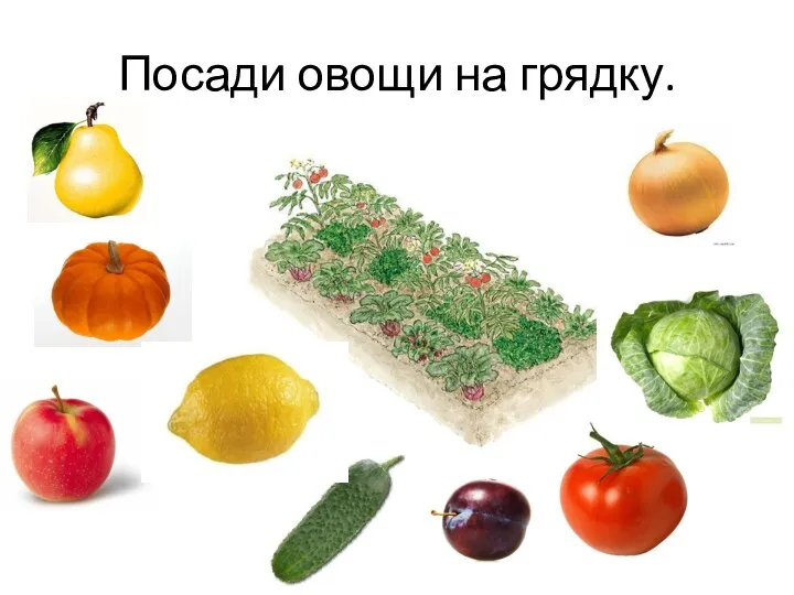 Посади овощи на грядку.