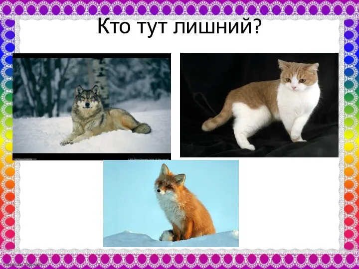 Кто тут лишний?