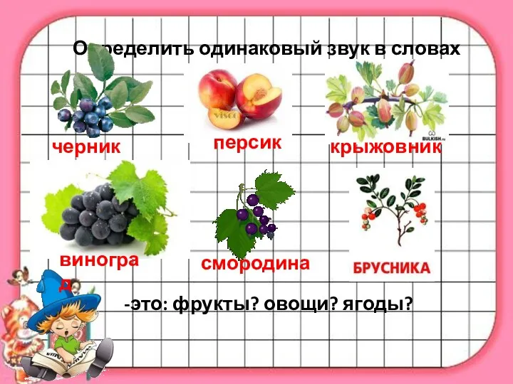 Определить одинаковый звук в словах черника персик виноград крыжовник смородина -это: фрукты? овощи? ягоды?