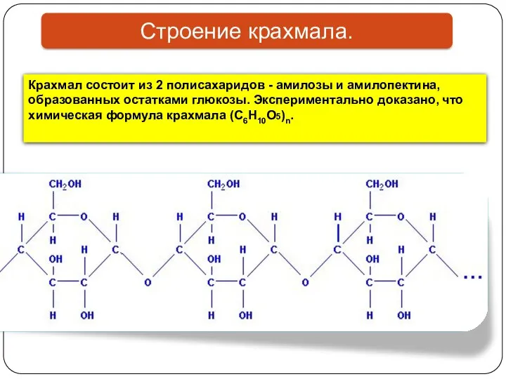 Крахмал состоит из 2 полисахаридов - амилозы и амилопектина, образованных