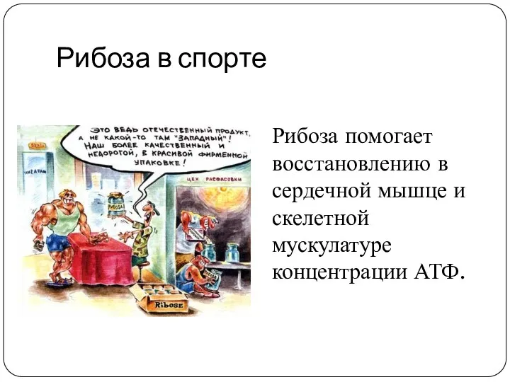 Рибоза в спорте Рибоза помогает восстановлению в сердечной мышце и скелетной мускулатуре концентрации АТФ.