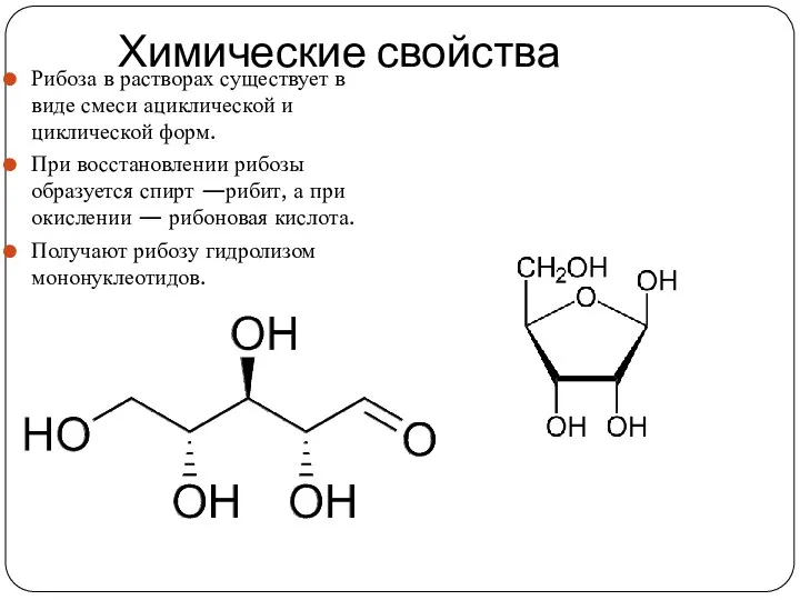 Химические свойства Рибоза в растворах существует в виде смеси ациклической и циклической форм.