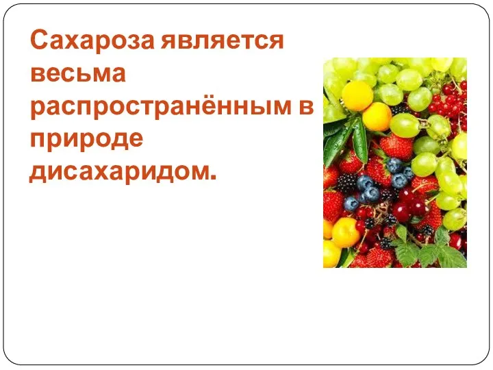 Сахароза является весьма распространённым в природе дисахаридом.