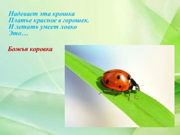 Надевает эта крошка Платье красное в горошек. И летать умеет ловко Это… Божья коровка