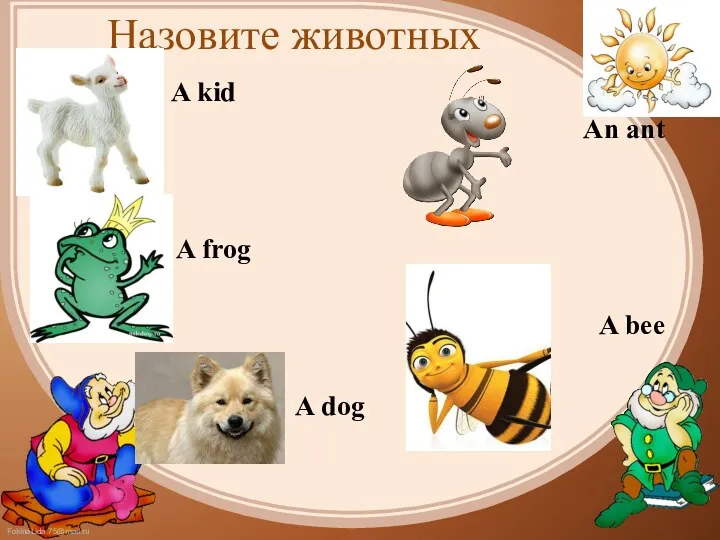 Назовите животных A kid A frog A dog An ant A bee