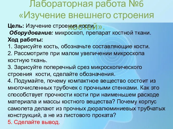 Лабораторная работа №6 «Изучение внешнего строения костей». Цель: Изучение строения