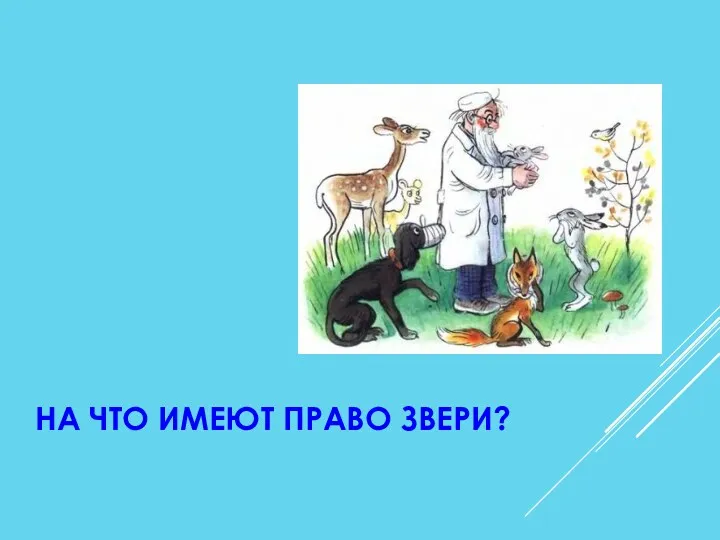 НА ЧТО ИМЕЮТ ПРАВО ЗВЕРИ?