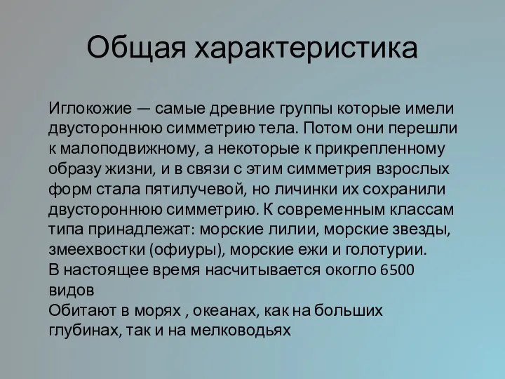 Общая характеристика Иглокожие — самые древние группы которые имели двустороннюю