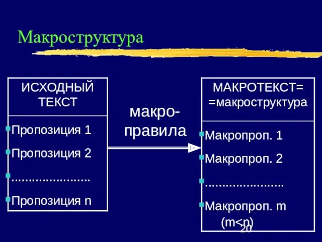 Макроструктура макро- правила