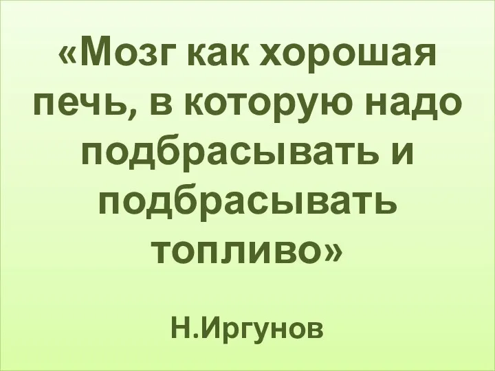 «Мозг как хорошая печь, в которую надо подбрасывать и подбрасывать топливо» Н.Иргунов