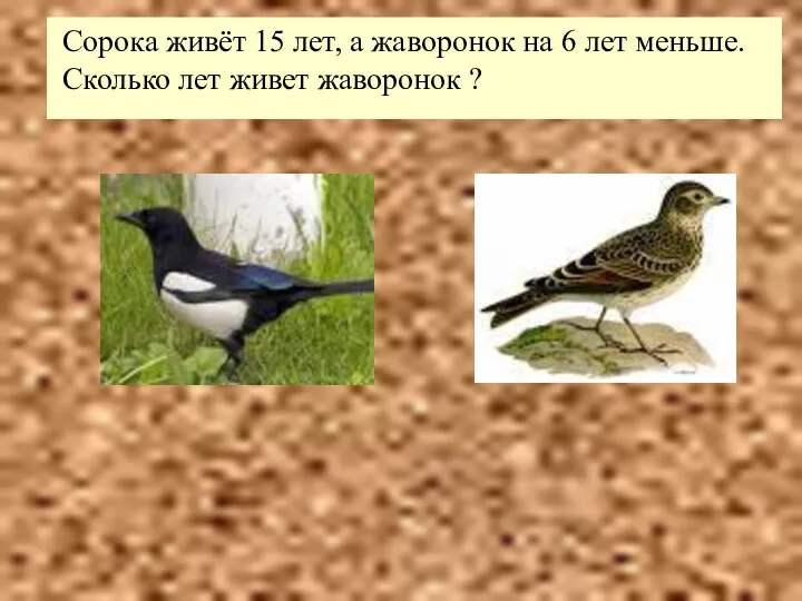 Сорока живёт 15 лет, а жаворонок на 6 лет меньше. Сколько лет живет жаворонок ?