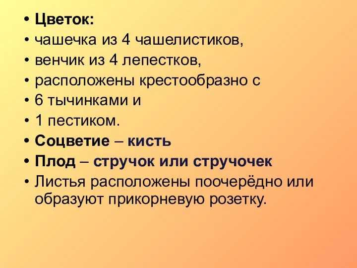 Цветок: чашечка из 4 чашелистиков, венчик из 4 лепестков, расположены