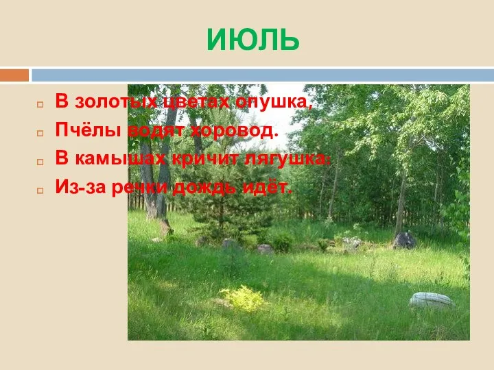 ИЮЛЬ В золотых цветах опушка, Пчёлы водят хоровод. В камышах кричит лягушка: Из-за речки дождь идёт.