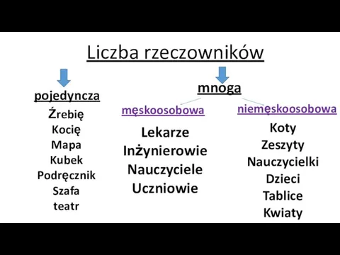 Liczba rzeczowników pojedyncza mnoga Źrebię Kocię Mapa Kubek Podręcznik Szafa