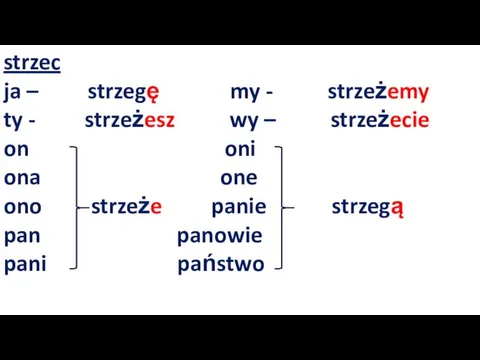 strzec ja – strzegę my - strzeżemy ty - strzeżesz