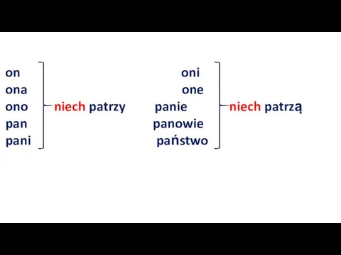 on oni ona one ono niech patrzy panie niech patrzą pan panowie pani państwo