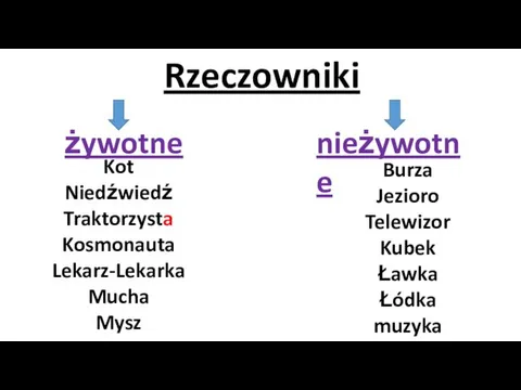 Rzeczowniki żywotne nieżywotne Kot Niedźwiedź Traktorzysta Kosmonauta Lekarz-Lekarka Mucha Mysz