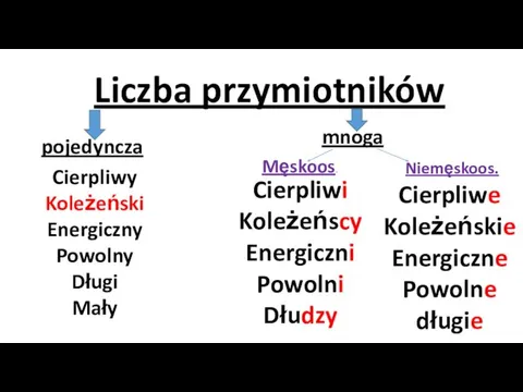 Liczba przymiotników pojedyncza mnoga Cierpliwy Koleżeński Energiczny Powolny Długi Mały