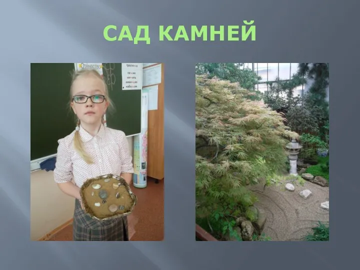 САД КАМНЕЙ