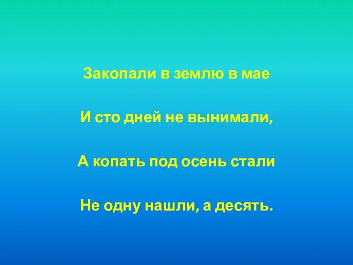 Закопали в землю в мае И сто дней не вынимали,