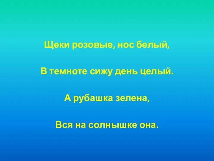 Щеки розовые, нос белый, В темноте сижу день целый. А рубашка зелена, Вся на солнышке она.