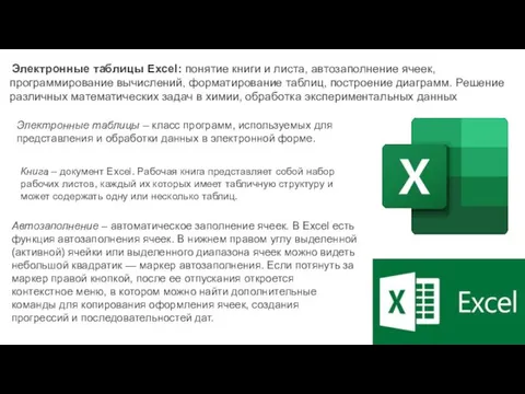 Электронные таблицы Excel: понятие книги и листа, автозаполнение ячеек, программирование