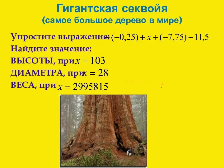 Гигантская секвойя (самое большое дерево в мире) Упростите выражение: Найдите