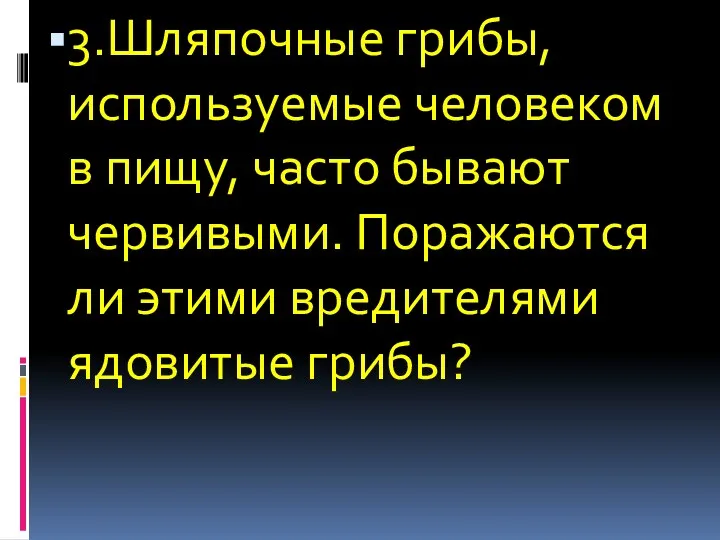 3.Шляпочные грибы, используемые человеком в пищу, часто бывают червивыми. Поражаются ли этими вредителями ядовитые грибы?