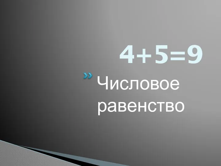 4+5=9 Числовое равенство