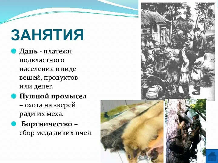 ЗАНЯТИЯ Дань - платежи подвластного населения в виде вещей, продуктов или денег. Пушной