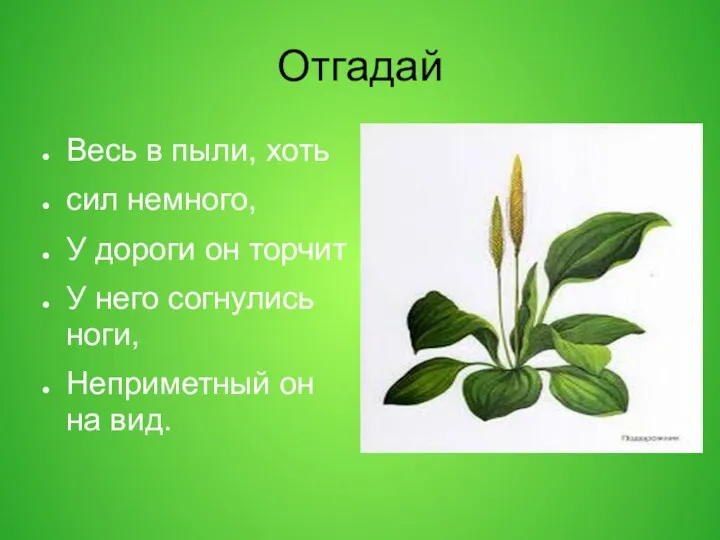 Отгадай Весь в пыли, хоть сил немного, У дороги он