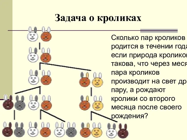 Задача о кроликах Сколько пар кроликов родится в течении года, если природа кроликов