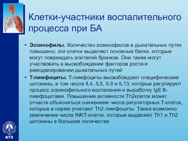 Клетки-участники воспалительного процесса при БА Эозинофилы. Количество эозинофилов в дыхательных