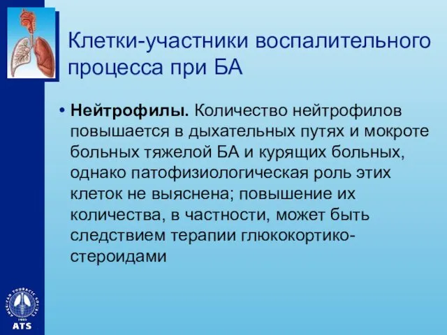 Клетки-участники воспалительного процесса при БА Нейтрофилы. Количество нейтрофилов повышается в