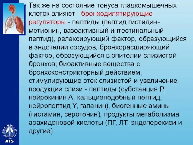 Так же на состояние тонуса гладкомышечных клеток влияют - бронходилятирующие