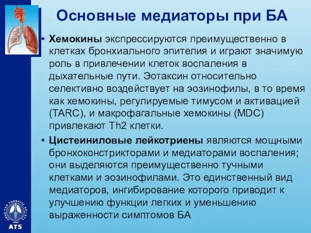 Основные медиаторы при БА Хемокины экспрессируются преимущественно в клетках бронхиального