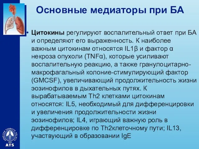 Основные медиаторы при БА Цитокины регулируют воспалительный ответ при БА