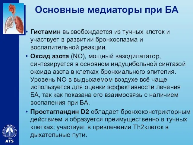 Основные медиаторы при БА Гистамин высвобождается из тучных клеток и