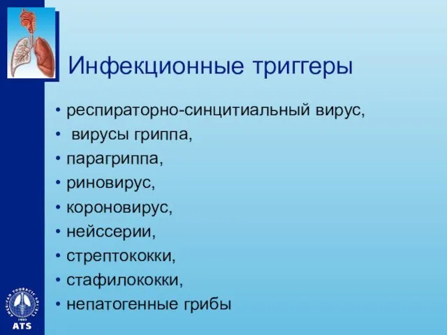 Инфекционные триггеры респираторно-синцитиальный вирус, вирусы гриппа, парагриппа, риновирус, короновирус, нейссерии, стрептококки, стафилококки, непатогенные грибы