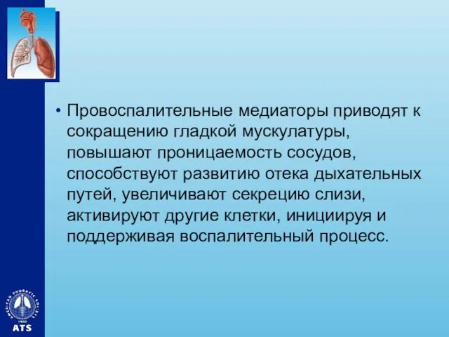 Провоспалительные медиаторы приводят к сокращению гладкой мускулатуры, повышают проницаемость сосудов,