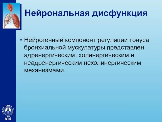 Нейрональная дисфункция Нейрогенный компонент регуляции тонуса бронхиальной мускулатуры представлен адренергическим, холинергическим и неадренергическим нехолинергическим механизмами.