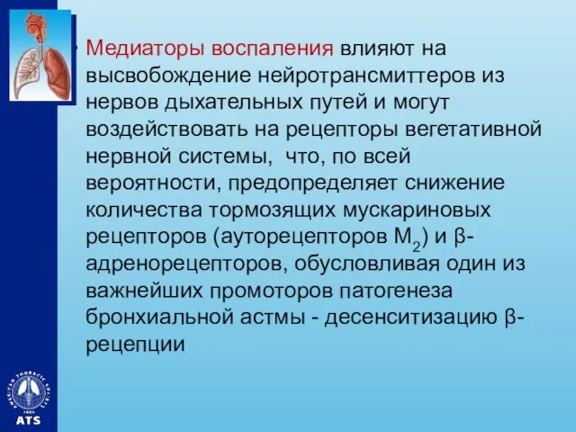 Медиаторы воспаления влияют на высвобождение нейротрансмиттеров из нервов дыхательных путей