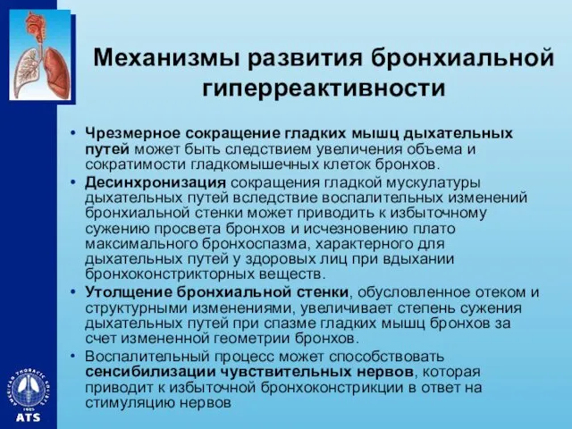 Механизмы развития бронхиальной гиперреактивности Чрезмерное сокращение гладких мышц дыхательных путей