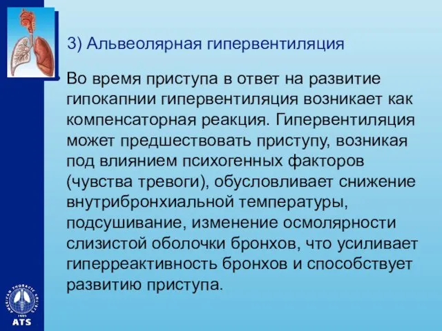 3) Альвеолярная гипервентиляция Во время приступа в ответ на развитие