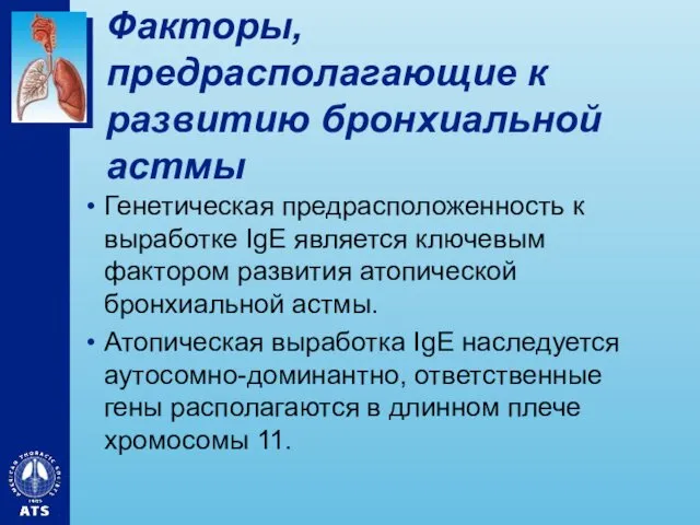 Факторы, предрасполагающие к развитию бронхиальной астмы Генетическая предрасположенность к выработке