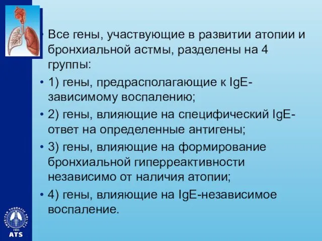 Все гены, участвующие в развитии атопии и бронхиальной астмы, разделены