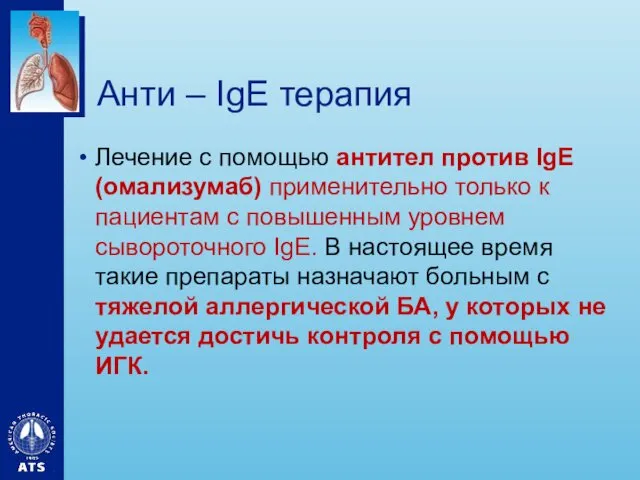 Анти – IgE терапия Лечение с помощью антител против IgE