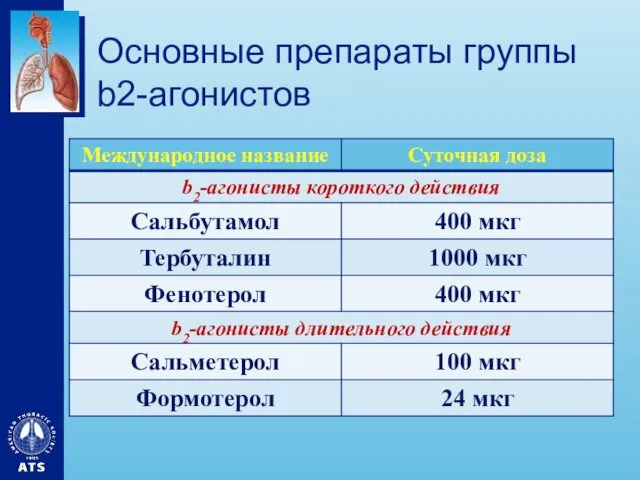 Основные препараты группы b2-агонистов